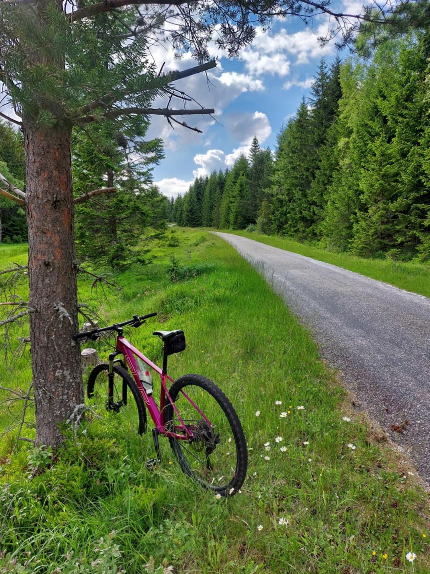 Wellness Chata Rosnatka Kvilda Zewnętrze zdjęcie